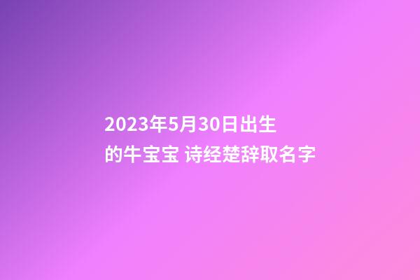 2023年5月30日出生的牛宝宝 诗经楚辞取名字